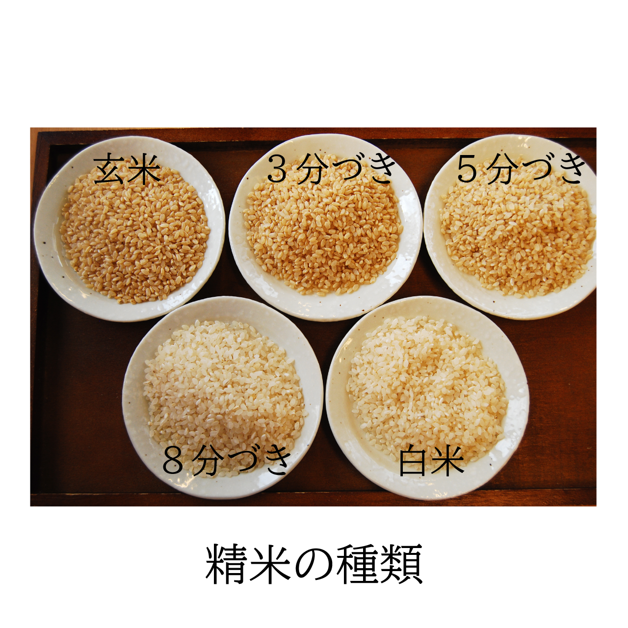 【令和5年 新米ご予約】愛菜農家さん 精米種類が選べる減農薬米 10kg