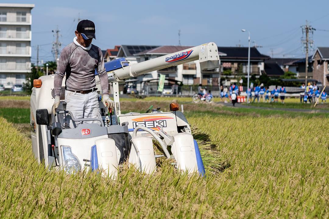 【令和5年 新米ご予約】愛菜農家さん 精米種類が選べる減農薬米 5kg