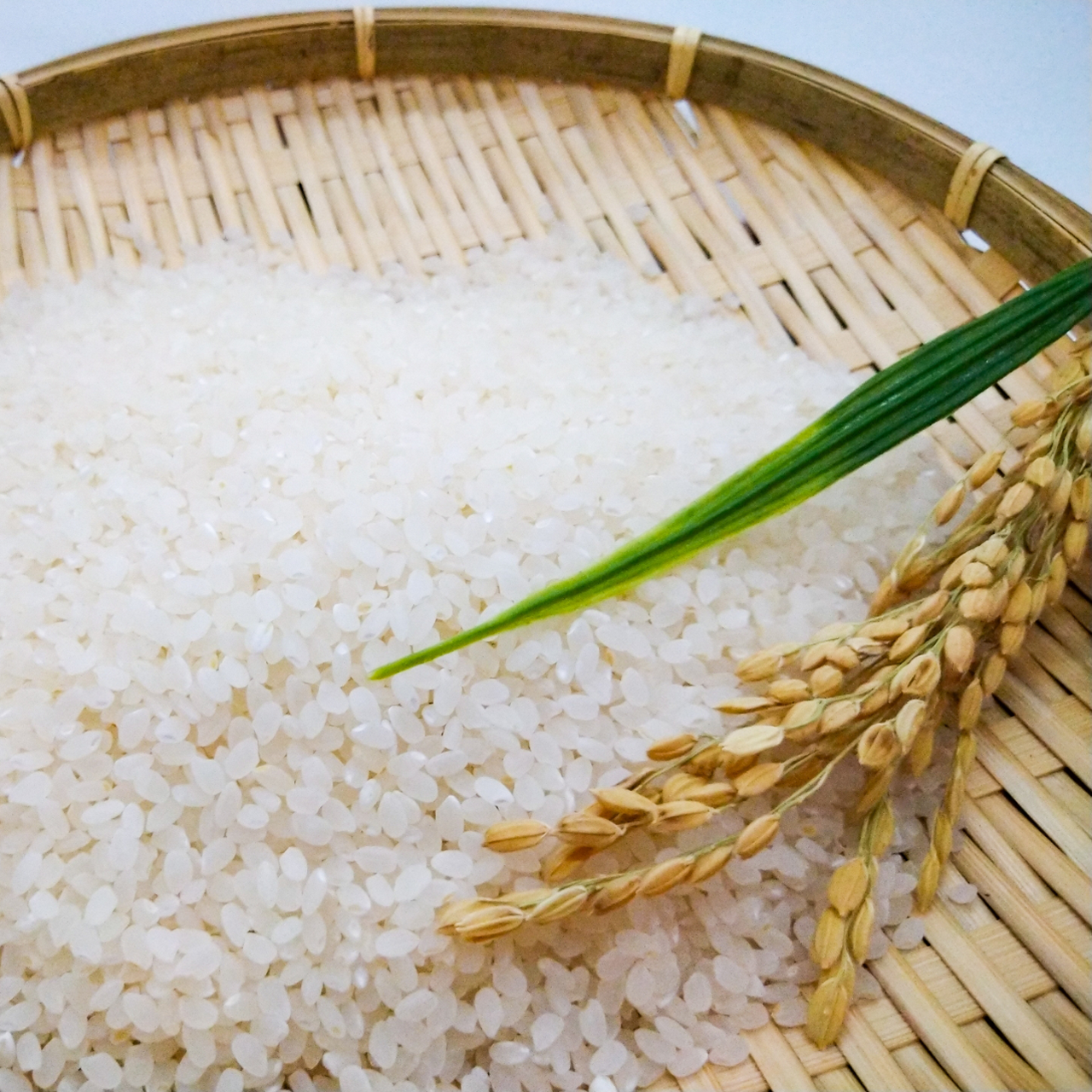 【令和5年 新米ご予約】愛菜農家さん 精米種類が選べる減農薬米 5kg